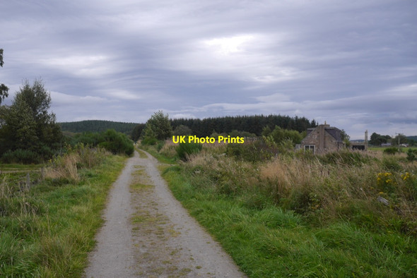 Photo 6"x4" Deeside Railway trackbed passing West Roseburn Birse c2019