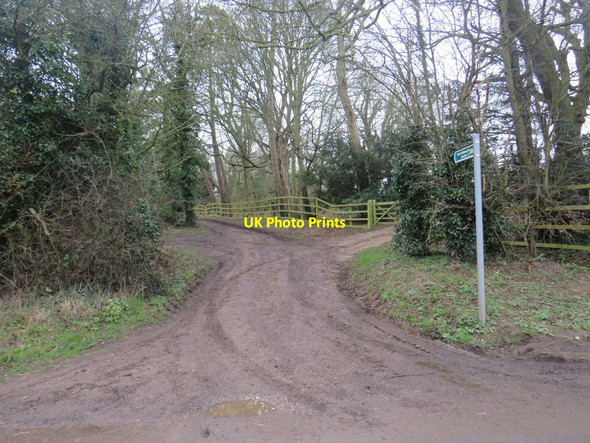 Photo 6"x4" Bridleway, Brent Pelham Brent Pelham c2020