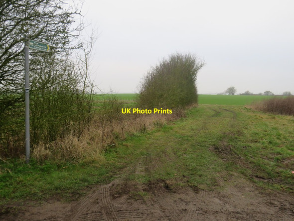Photo 6"x4" Public footpath near Anstey Anstey\/TL4032 c2020