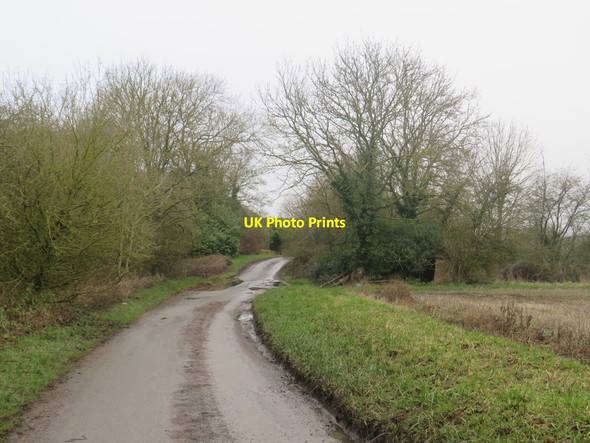 Photo 6"x4" Country lane near Anstey Anstey\/TL4032 c2020