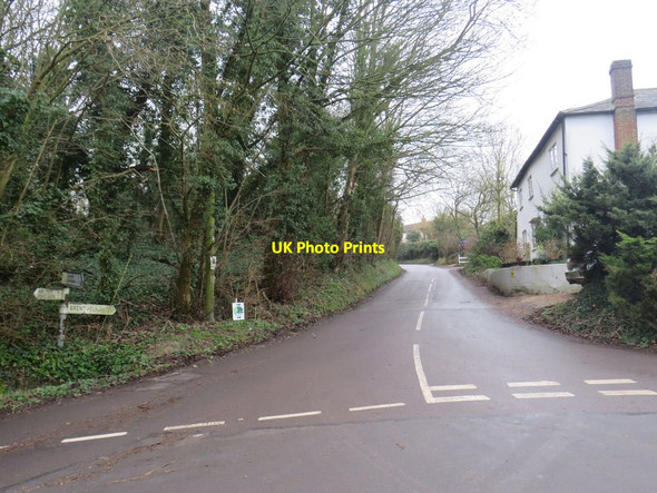 Photo 6"x4" Lane in Anstey Anstey\/TL4032 c2020