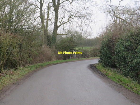 Photo 6"x4" Mill Lane, near Meesden Lower Green\/TL4233 c2020
