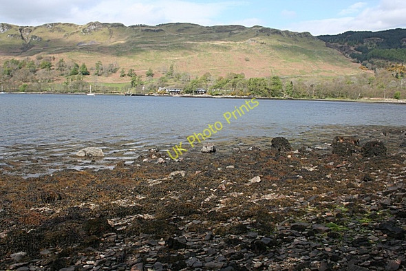 Photo 6"x4" Fearnach Bay Kilmelford c2009 P1