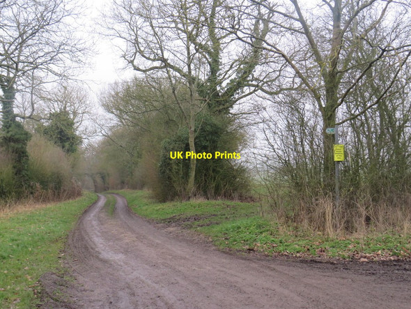 Photo 6"x4" Wood Lane, Meesden Meesden c2020