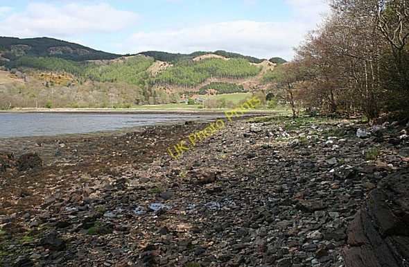 Photo 6"x4" Fearnach Bay Kilmelford c2009