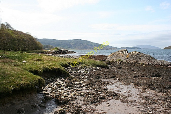 Photo 6"x4" Beach at Fearnach Bay Kilmelford c2009