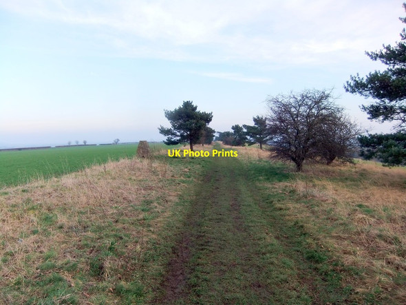 Photo 6"x4" Caulkleys Bank and Trig Pillar Nunnington\/SE6679 c2020