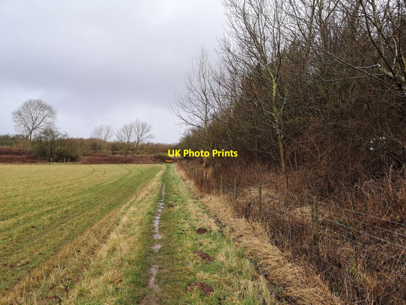 Photo 6"x4" Footpath near Limestone Quarry Bakestone Moor c2020