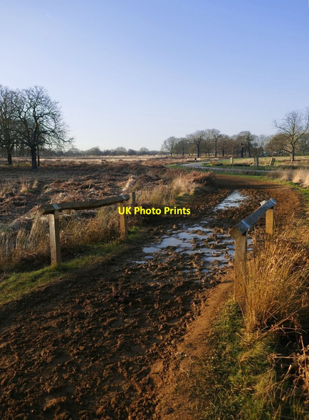 Photo 6"x4" Horse track near Martin's Pond, Richmond Park Kingston Upon Thames c2020