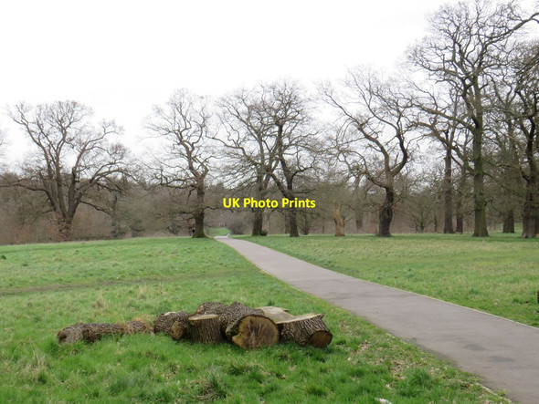 Photo 6"x4" Hilly Fields Park, near Enfield Enfield\/TQ3396 c2020