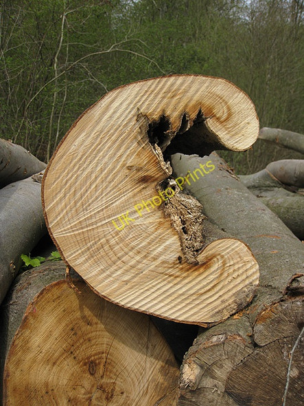 Photo 6"x4" The man in the moon Broadmoor Common c2009