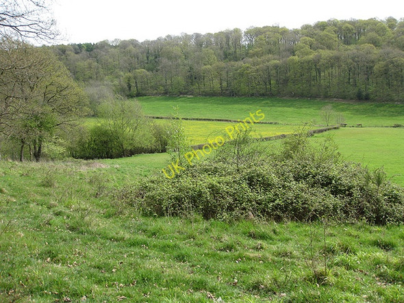 Photo 6"x4" View to Rudge Wood Broadmoor Common c2009