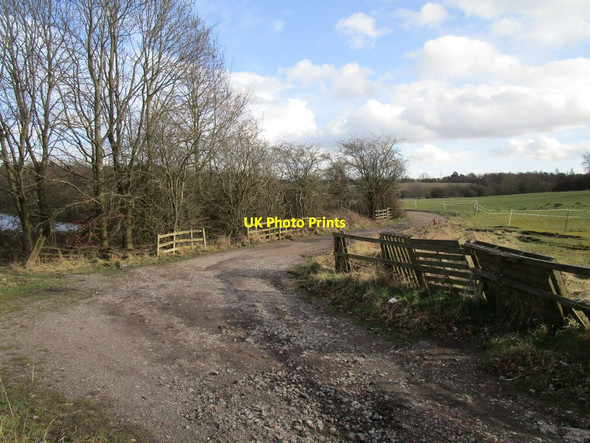 Photo 6"x4" Access track to ponds near Newlands Farm Newlands\/SK5762 c2020