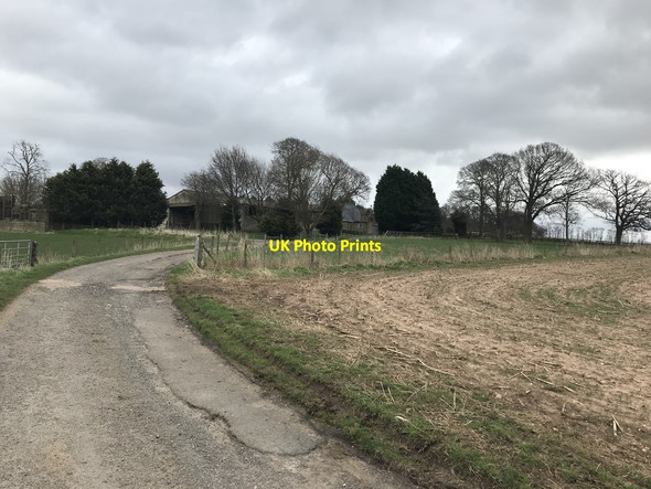 Photo 6"x4" Bridleway Track Approaching Scotland Farm Kingston on Soar c2020