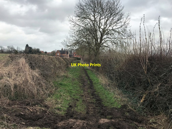 Photo 6"x4" Bridleway Approaching West Leake West Leake c2020