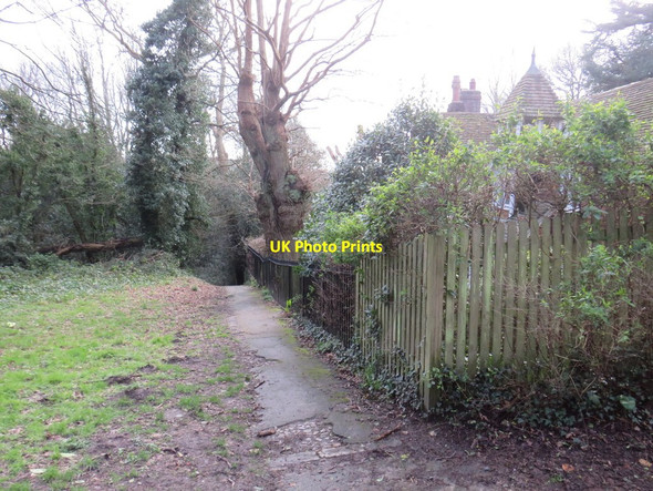 Photo 6"x4" Path on Tunbridge Wells Common Royal Tunbridge Wells c2020