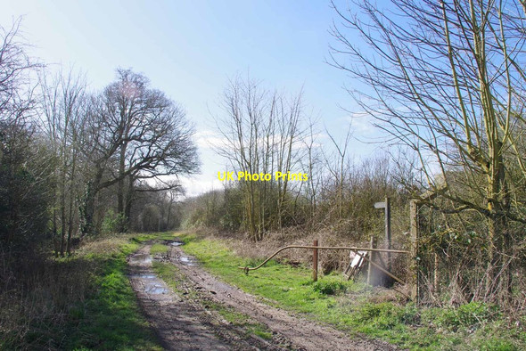 Photo 6"x4" Bridleway PROW 213_48 Boreham\/TL7509 c2020