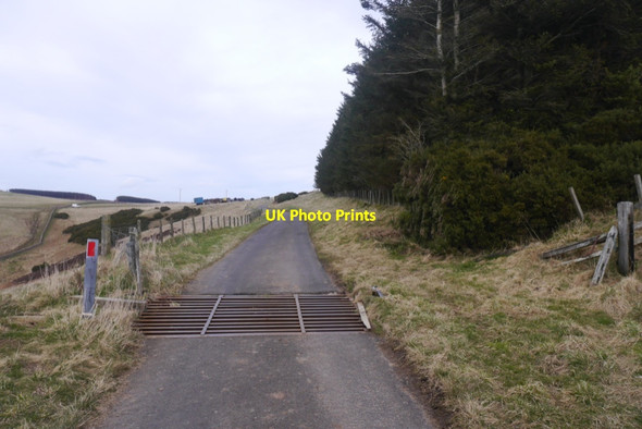 Photo 6"x4" Cattle grid, Monynut Inner Hill\/NT7264 c2020