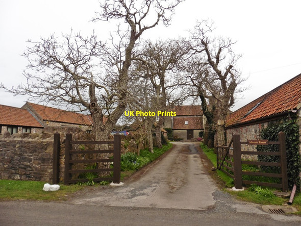 Photo 6"x4" Manor Farm Kenn\/ST4169 c2020