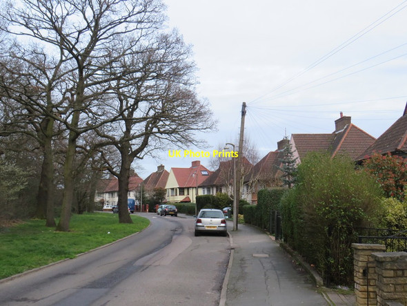 Photo 6"x4" Inks Green, near Chingford Chingford c2020