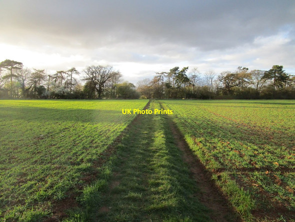 Photo 6"x4" Restricted byway to Holywell Aunby c2020