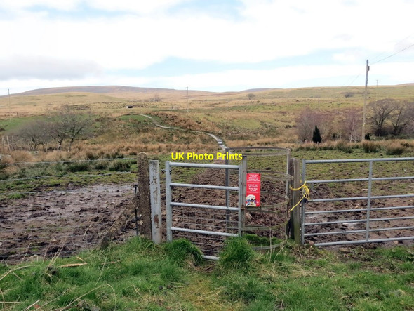 Photo 6"x4" Mynediad i'r mynydd \/ Access to the mountain Cefn-bryn-brain c2020