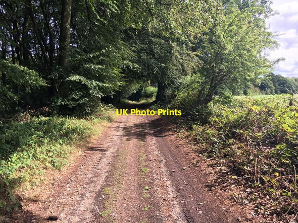 Photo 6"x4" Byway heading to Pages Bottom Wood Catslip c2018