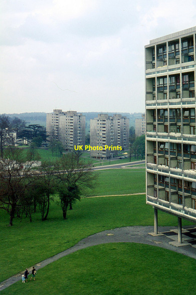 Photo 6"x4" Alton West Estate, Roehampton, 1966 \u00e2\u0080\u0093 14 Barnes c1966