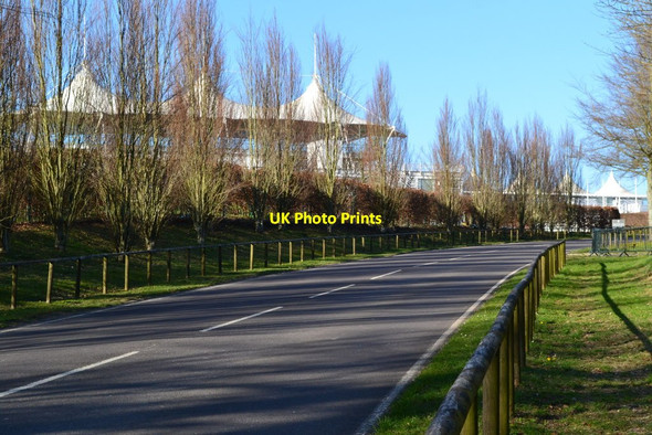 Photo 6"x4" Selhurst Park Road climbing towards Goodwood Racecourse Charlton\/SU8812 c2020