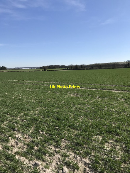 Photo 6"x4" Footpath towards a bridleway Royston\/TL3541 c2020