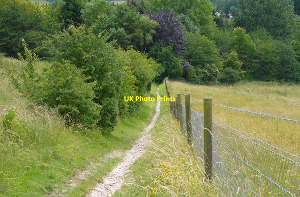 Photo 6"x4" Bridleway to Flaunden Bottom Latimer c2007