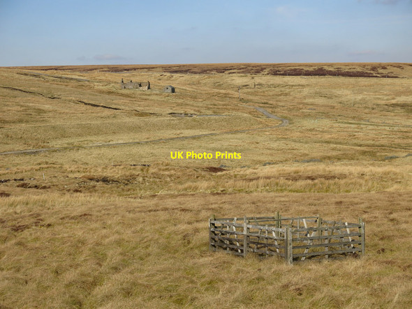 Photo 6"x4" Old mine shaft near Frazer's Quarry Allenheads c2020