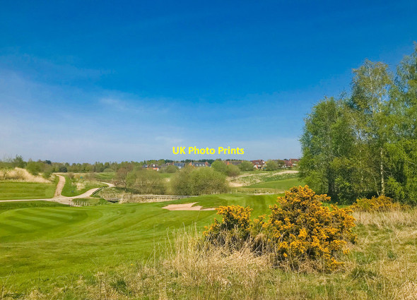 Photo 6"x4" Wychwood Park Golf Course Balterley Heath c2020
