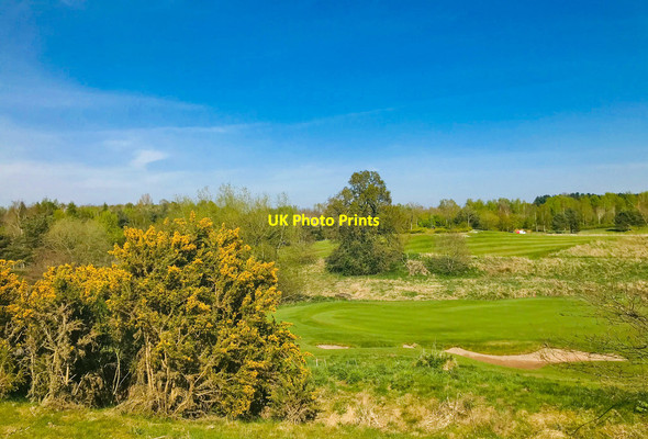 Photo 6"x4" Wychwood Park Golf Course Balterley Heath c2020 P1