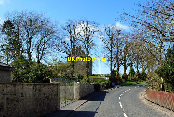 Photo 6"x4" A rookery in Crosshill village Crosshill\/NS3206 c2020
