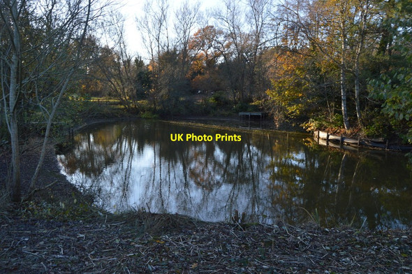 Photo 6"x4" Pond, Dunorlan Park Royal Tunbridge Wells c2018