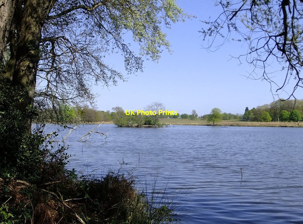 Photo 6"x4" View across the Upper Pen Pond, April 2020 Kingston Upon Thames c2020
