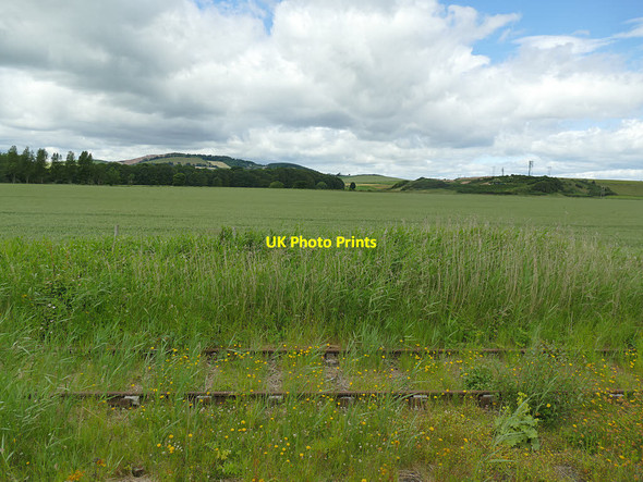 Photo 6"x4" Overgrown siding, Leuchars station Guardbridge c2019
