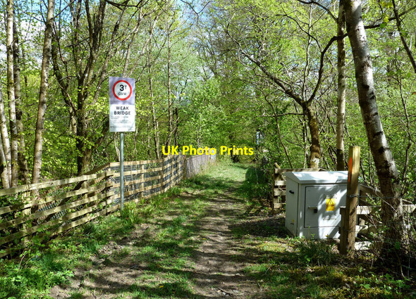 Photo 6"x4" Cross here for the Sawmill Walk Ruglen c2020