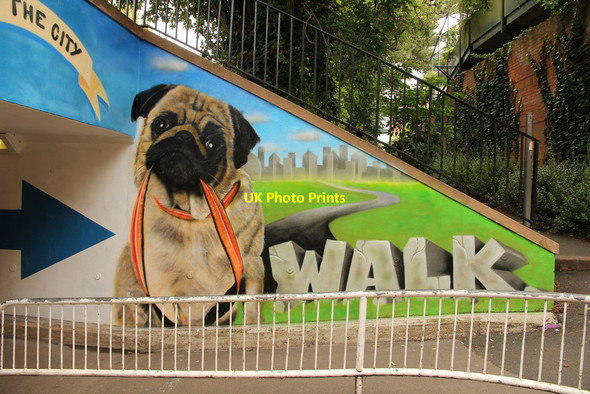 Photo 6"x4" Western Way subway mural Exeter c2015