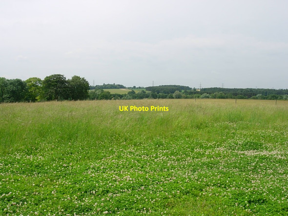 Photo 6"x4" Field by Castle Acre Priory visitor centre Castle Acre c2009