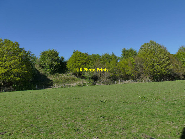 Photo 6"x4" Railway embankment near Tyersal Pudsey\/SE2233 c2020