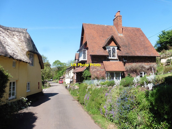 Photo 6"x4" Luccombe village Luccombe\/SS9144 c2020