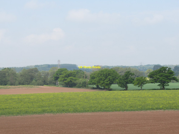 Photo 6"x4" Pylon and trees at field boundary, Doverdale Acton\/SO8467 c2020