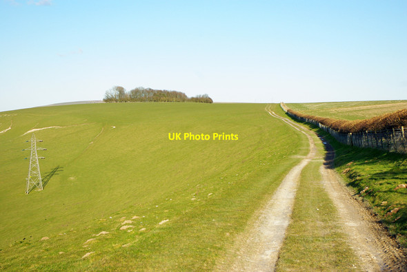 Photo 6"x4" Bridleway towards Coombe Head and Coombes Beggars Bush\/TQ1607 c2010