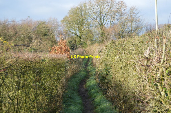 Photo 6"x4" Bridleway, Lillington Lillington\/ST6212 c2018