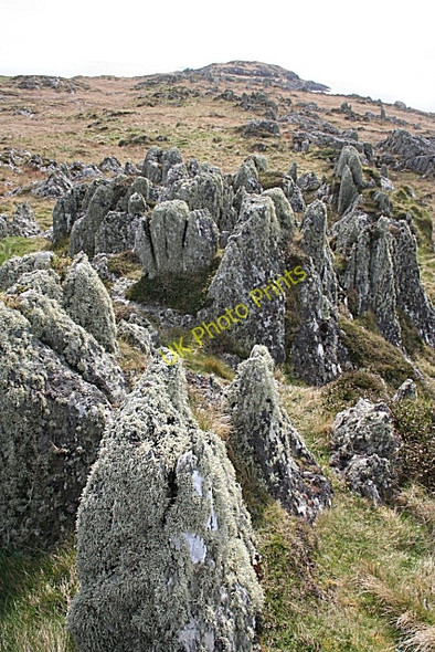 Photo 6"x4" Rubha na Cille Keillmore c2009