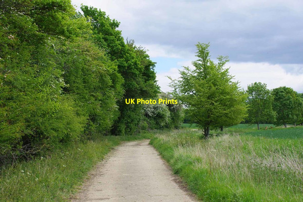 Photo 6"x4" Bridleway PROW 195_1 Little Laver c2020
