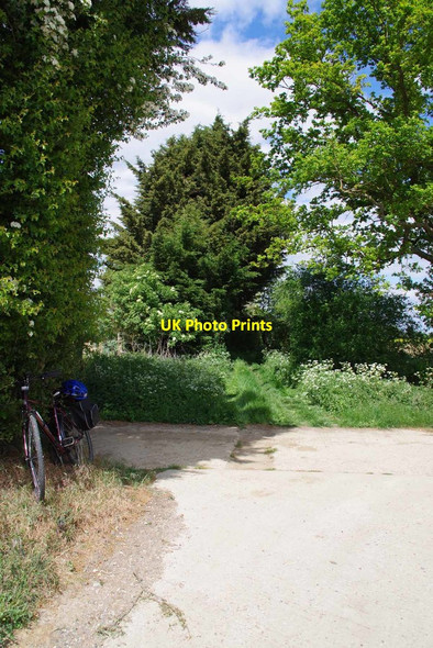 Photo 6"x4" Byway to Parvilles Manwood Green c2020