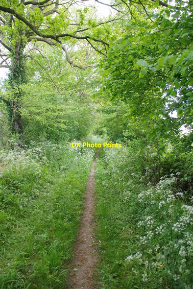 Photo 6"x4" Byway Approaching Parvilles Ardley End c2020